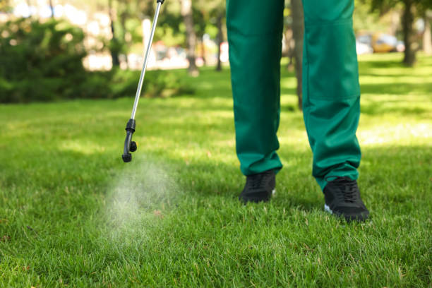 Reliable Paris, KY Pest Control Solutions