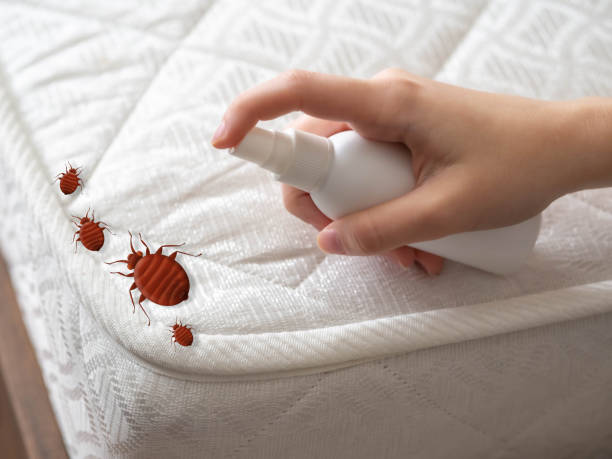 Pest Control for Restaurants in Paris, KY